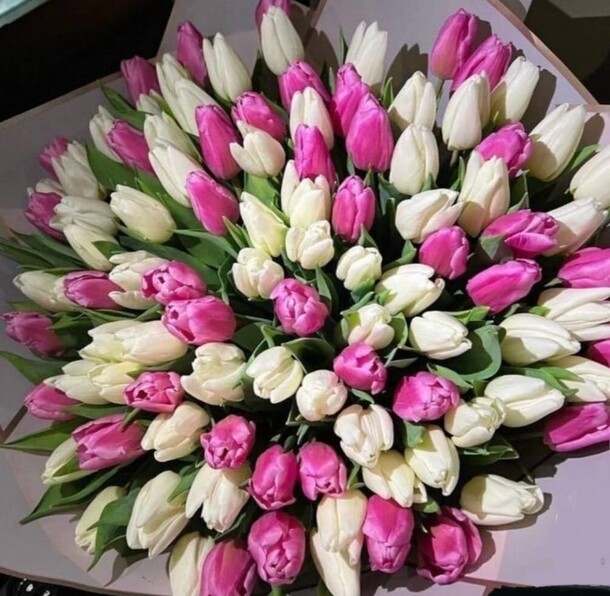 Букет «151 тюльпан», артикул F1369874 - 41868 рублей, доставка по городу. Flawery - доставка цветов