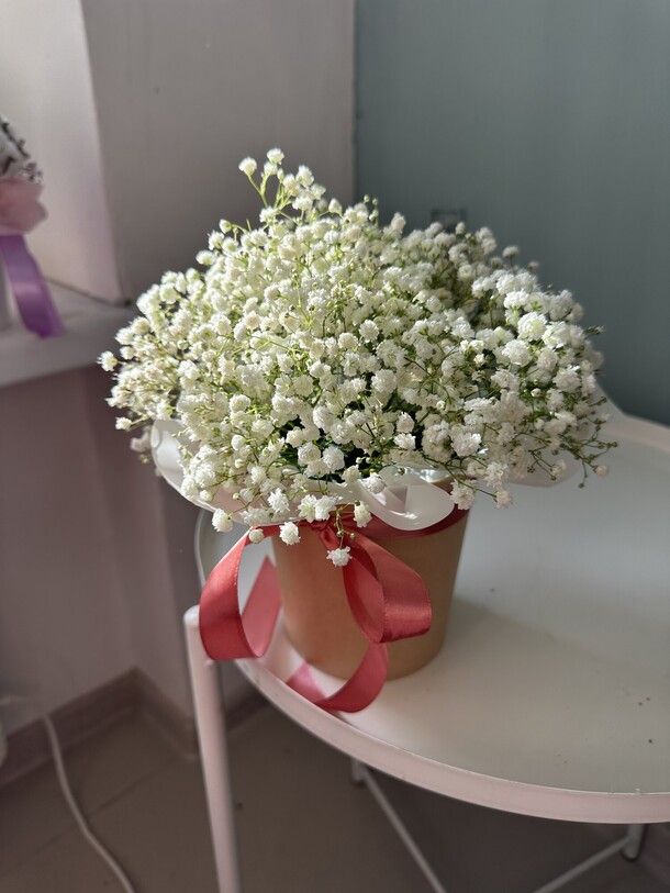 Коробочка с гипсофилой, артикул F1247552 - 2299 рублей, доставка по городу. Flawery - доставка цветов