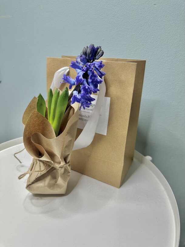 Гиацинт на луковице, артикул F1256549 - 1100 рублей, доставка по городу. Flawery - доставка цветов