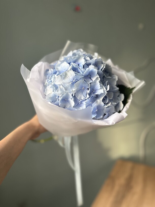 Роскошная гортензия, артикул F1289100 - 2200 рублей, доставка по городу. Flawery - доставка цветов