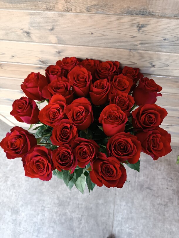 Роза экспловер, артикул F1405279 - 10875 рублей, доставка по городу. Flawery - доставка цветов