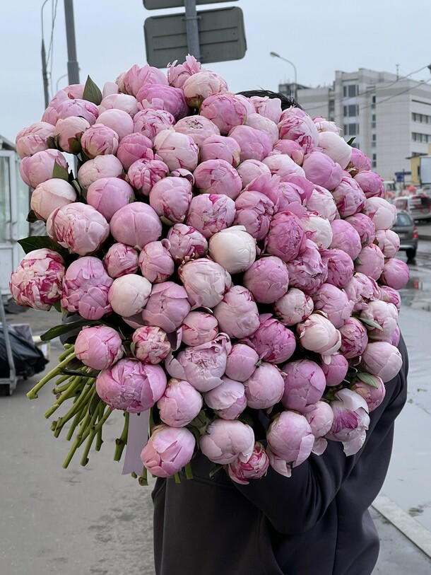 101 пион, артикул F1148382 - 75000 рублей, доставка по городу. Flawery - доставка цветов