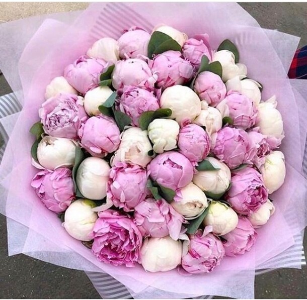 Бело-розовые пионы, артикул F22414 - 49499 рублей, доставка по городу. Flawery - доставка цветов