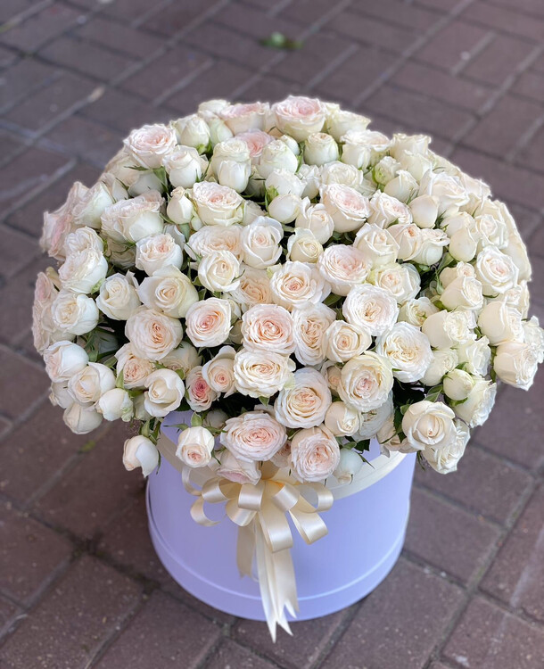 Маммантус, артикул F1265704 - 39238 рублей, доставка по городу. Flawery - доставка цветов