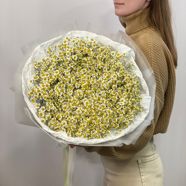 Дети солнца, артикул F1267324 - 28697 рублей, доставка по городу. Flawery - доставка цветов