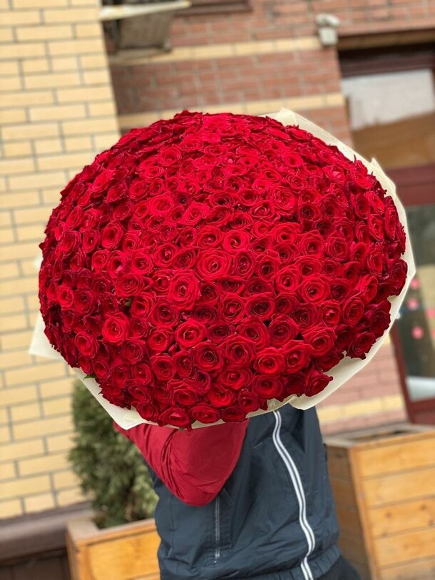 251 роза 😍, артикул F1292921 - 124818 рублей, доставка по городу. Flawery - доставка цветов