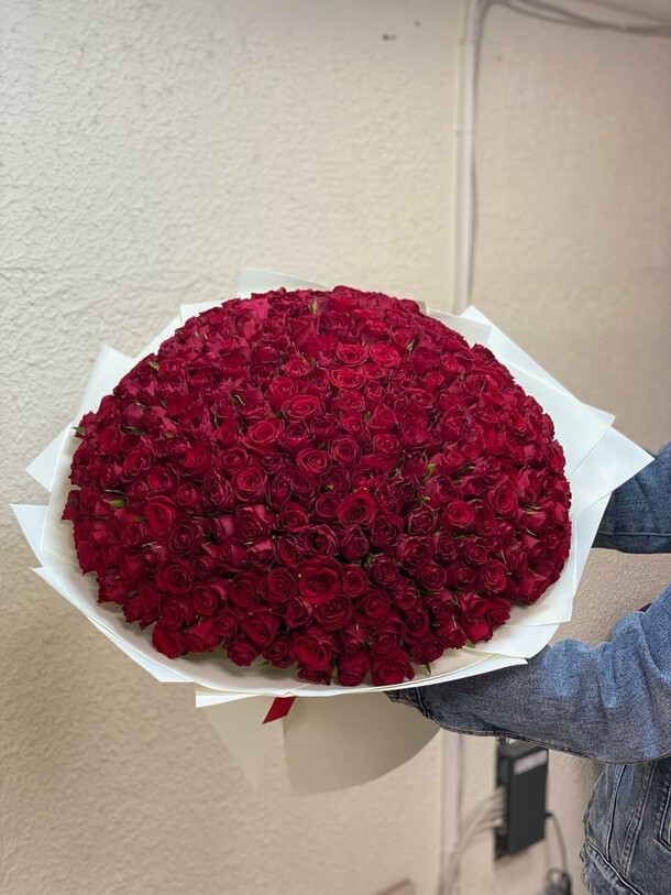 251 роза, артикул F1319936 - 39634 рублей, доставка по городу. Flawery - доставка цветов