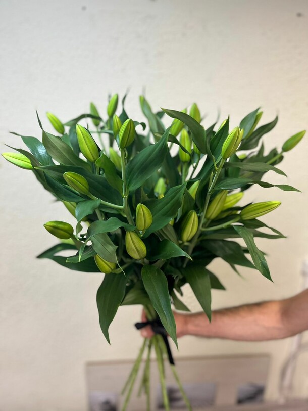 Лилу, артикул F1320424 - 11362 рублей, доставка по городу. Flawery - доставка цветов