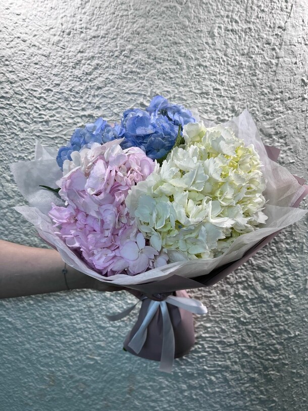Гортензия микс, артикул F1413506 - 3450 рублей, доставка по городу. Flawery - доставка цветов