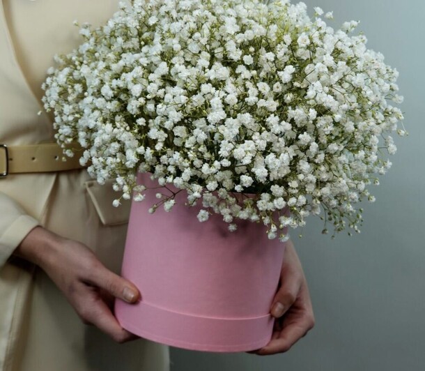 Белая гипсофила в коробке bianco, артикул F1252208 - 5066 рублей, доставка по городу. Flawery - доставка цветов