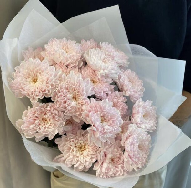 Летнее облако из хризантем, артикул F1382505 - 1950 рублей, доставка по городу. Flawery - доставка цветов