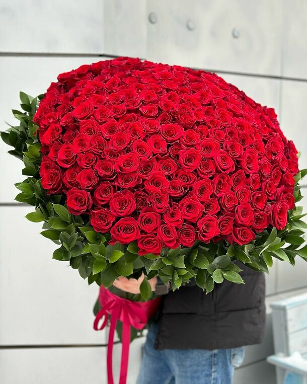 Роза красная 151 с рускусом, артикул F1240248 - 59159 рублей, доставка по городу. Flawery - доставка цветов