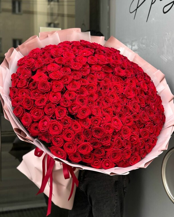 Роза красная 201 шт, артикул F1240266 - 66216 рублей, доставка по городу. Flawery - доставка цветов