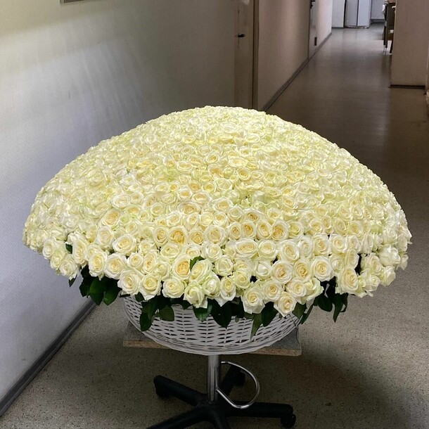 1001 роза белая, артикул F1290586 - 309809 рублей, доставка по городу. Flawery - доставка цветов