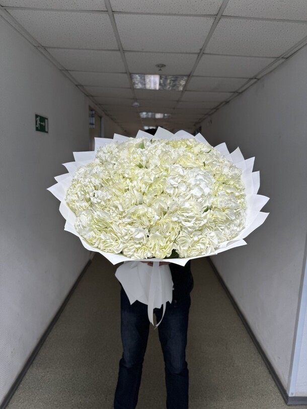 Гортензия белая премиум, артикул F1290617 - 39041 рублей, доставка по городу. Flawery - доставка цветов