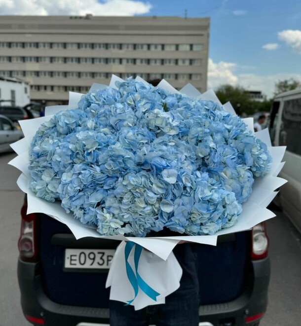 Гортензия голубая, артикул F1290677 - 30487 рублей, доставка по городу. Flawery - доставка цветов
