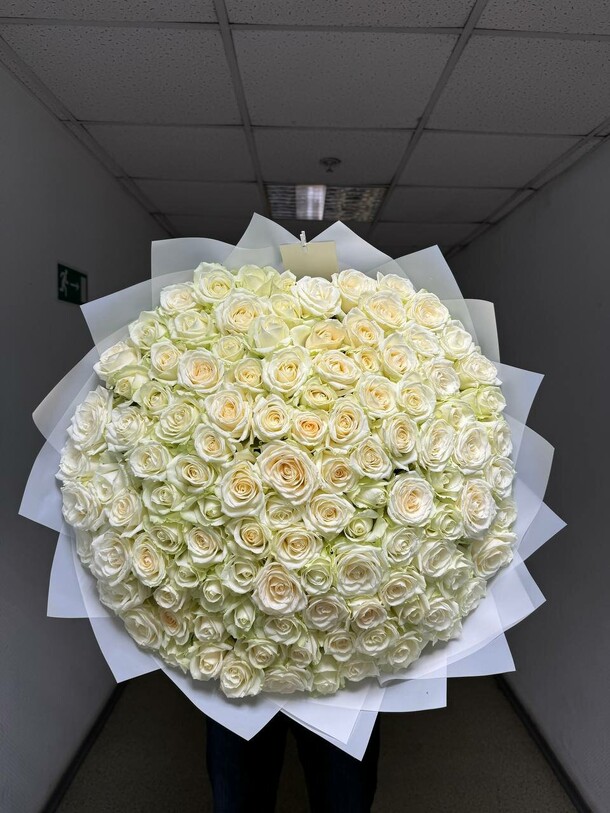 101 роза белая, артикул F1326346 - 41582 рублей, доставка по городу. Flawery - доставка цветов