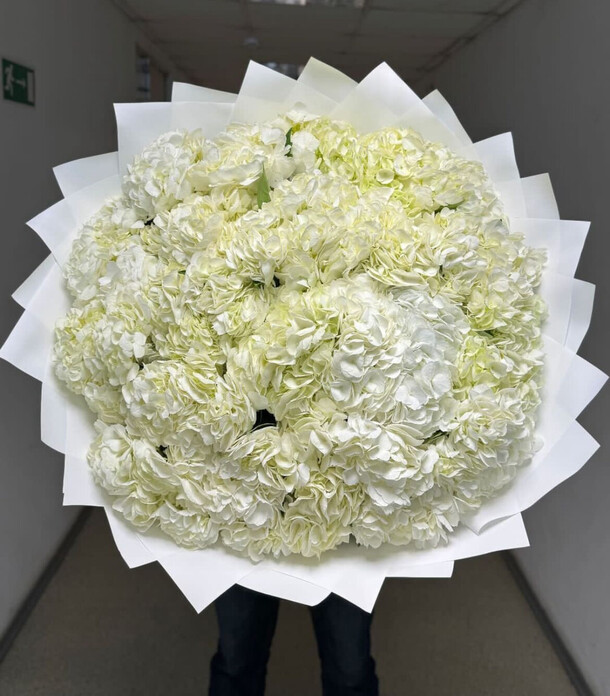 Гортензия белая, артикул F1360656 - 45218 рублей, доставка по городу. Flawery - доставка цветов