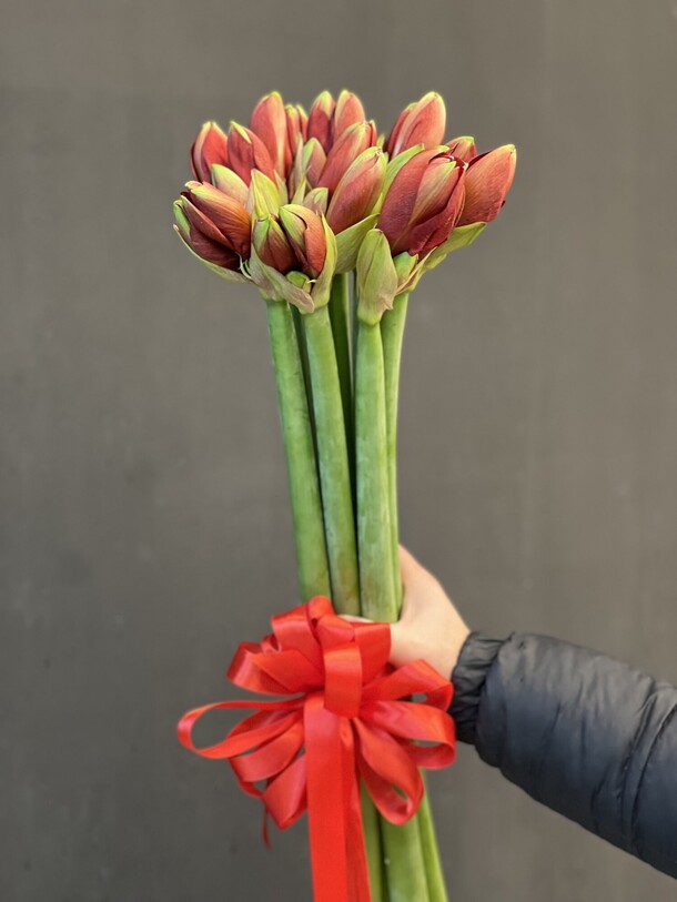 Амариллис красный, артикул F1360907 - 15445 рублей, доставка по городу. Flawery - доставка цветов