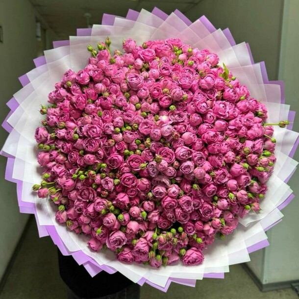 Кустовая пионовидная роза, артикул F1377569 - 114455 рублей, доставка по городу. Flawery - доставка цветов