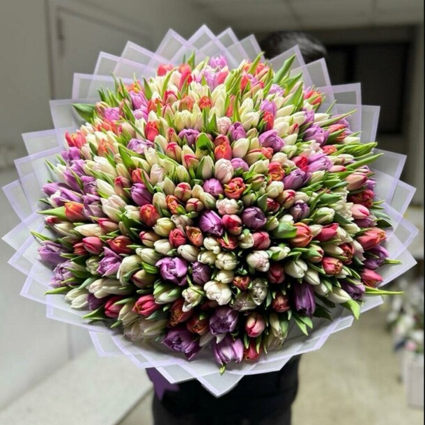 Тюльпаны микс, артикул F1384760 - 97809 рублей, доставка по городу. Flawery - доставка цветов