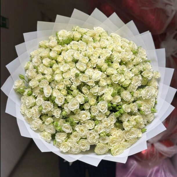 Белая кустова роза, артикул F1384783 - 61400 рублей, доставка по городу. Flawery - доставка цветов