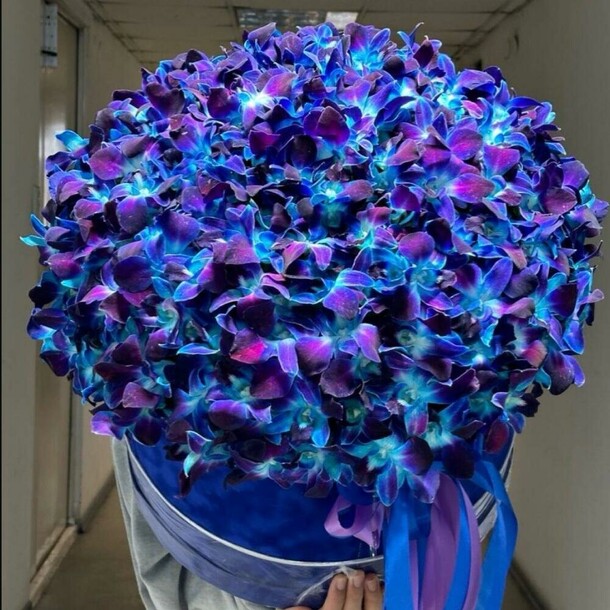 Дендробиум в шляпной коробке, артикул F1384789 - 38173 рублей, доставка по городу. Flawery - доставка цветов