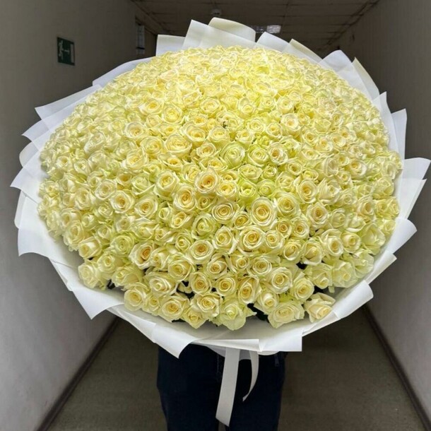 301 роза белая, артикул F1384806 - 172491 рублей, доставка по городу. Flawery - доставка цветов