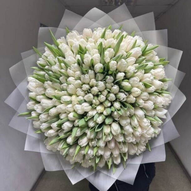 Букет из белых тюльпанов, артикул F1386206 - 92718 рублей, доставка по городу. Flawery - доставка цветов