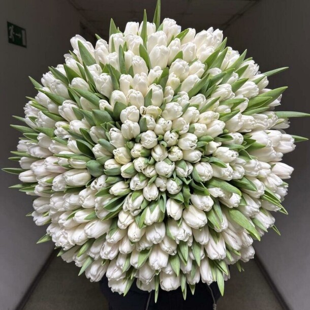 Букет из 201 белых тюльпанов, артикул F1386215 - 92491 рублей, доставка по городу. Flawery - доставка цветов