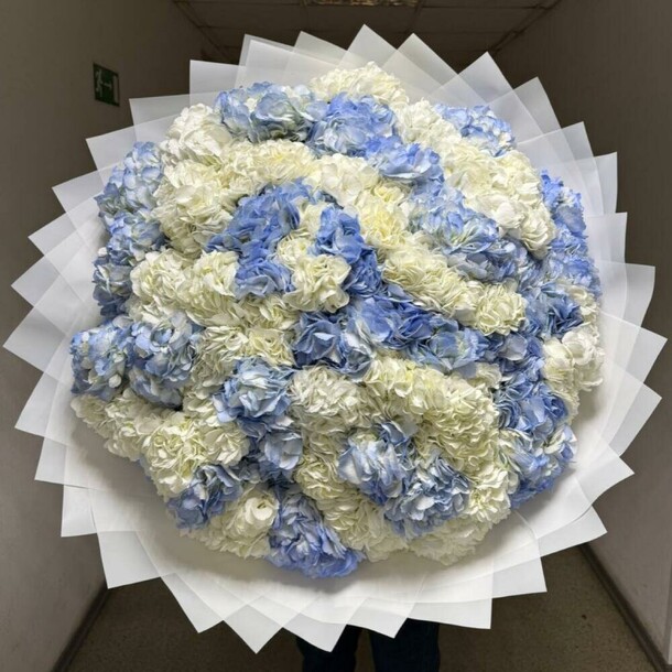 101 гортензия микс, артикул F1386237 - 100218 рублей, доставка по городу. Flawery - доставка цветов