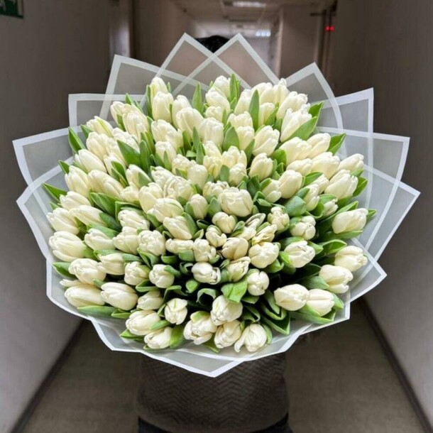 Тюльпаны белые, артикул F1386243 - 40673 рублей, доставка по городу. Flawery - доставка цветов
