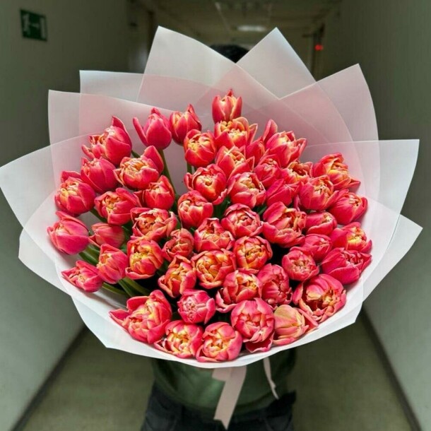 Тюльпаны пионовидные, артикул F1386250 - 24127 рублей, доставка по городу. Flawery - доставка цветов