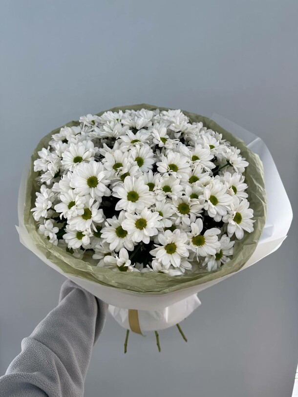 Моно букет хризантем, артикул F1386982 - 10350 рублей, доставка по городу. Flawery - доставка цветов