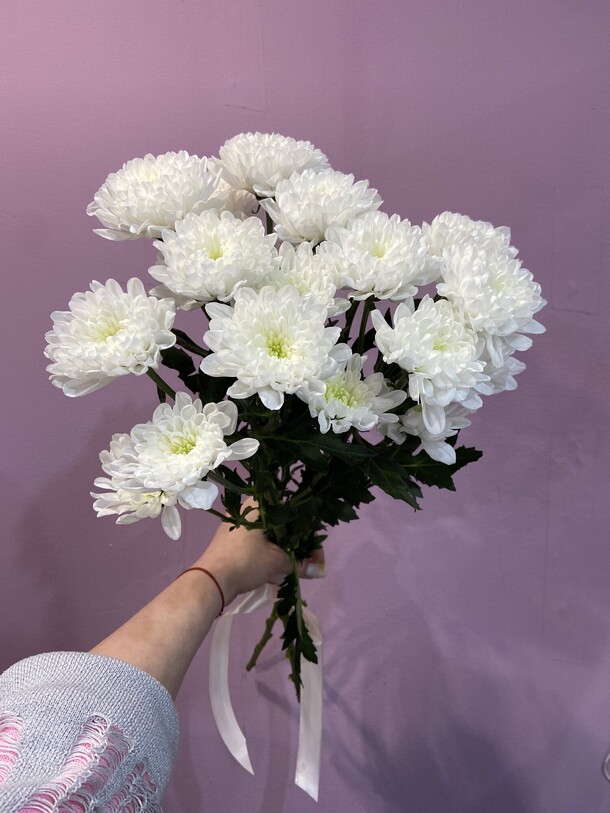 Хризантемы кустовые, артикул F1347590 - 1950 рублей, доставка по городу. Flawery - доставка цветов