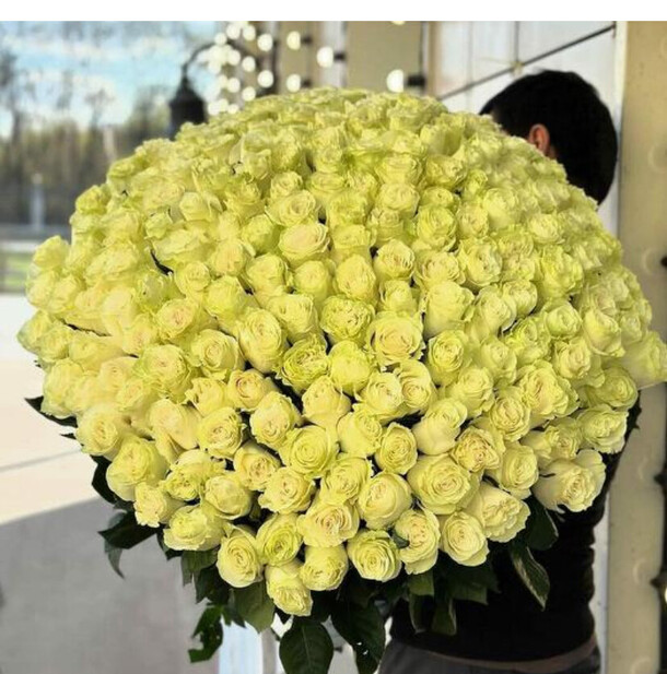 201 белая роза эквадор, артикул F1432923 - 105000 рублей, доставка по городу. Flawery - доставка цветов