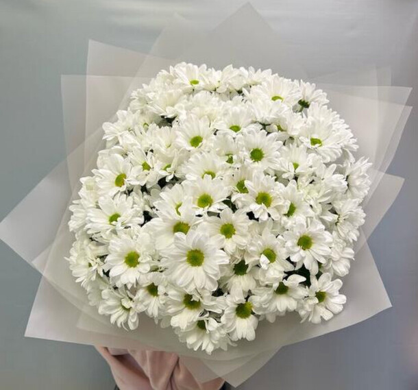 Милый букет ромашек🤍, артикул F1432927 - 10515 рублей, доставка по городу. Flawery - доставка цветов