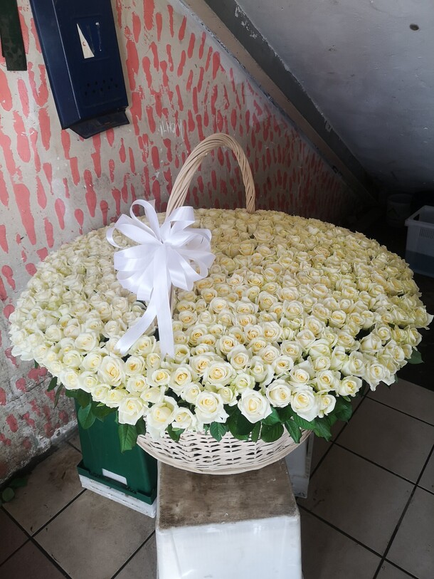 501 белые розы в корзине, артикул F1140059 - 114950 рублей, доставка по городу. Flawery - доставка цветов