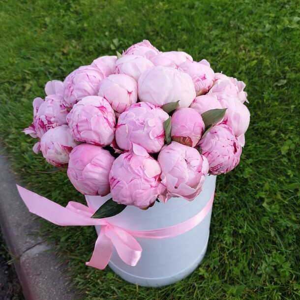 Пионы в коробке, артикул F1150543 - 26619 рублей, доставка по городу. Flawery - доставка цветов