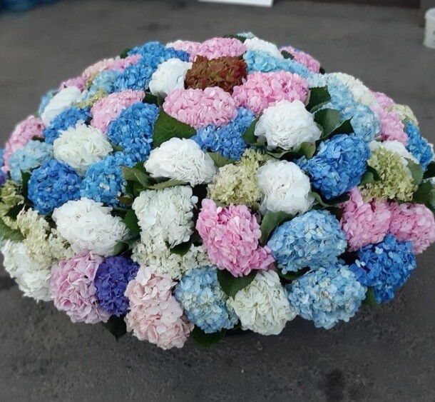 Гортензия 101 в корзине, артикул F1153423 - 82501 рублей, доставка по городу. Flawery - доставка цветов