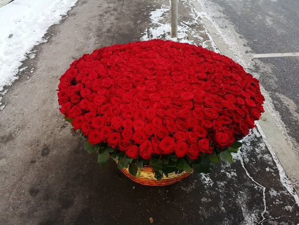 501 роза в корзине, артикул F1163608 - 133099 рублей, доставка по городу. Flawery - доставка цветов