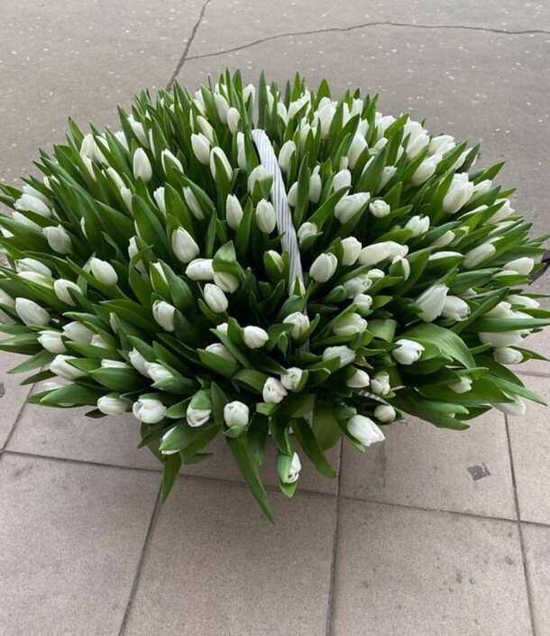 Белые тюльпаны в корзине, артикул F1177608 - 75805 рублей, доставка по городу. Flawery - доставка цветов