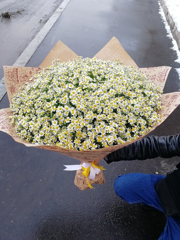 Букет из ромашки., артикул F25858 - 24156 рублей, доставка по городу. Flawery - доставка цветов