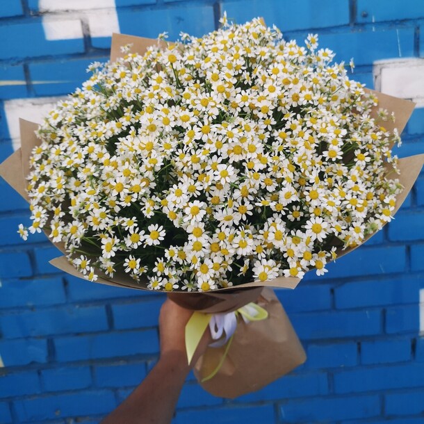 Букет из ромашки, артикул F26515 - 6999 рублей, доставка по городу. Flawery - доставка цветов