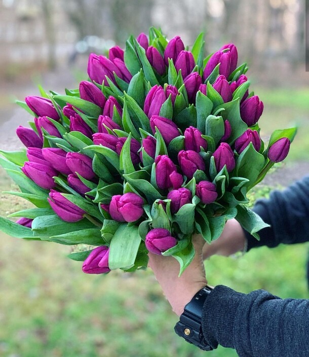 Букет из тюльпанов., артикул F26726 - 12883 рублей, доставка по городу. Flawery - доставка цветов