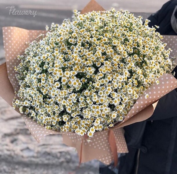 Букет из ромашки., артикул F29665 - 12883 рублей, доставка по городу. Flawery - доставка цветов