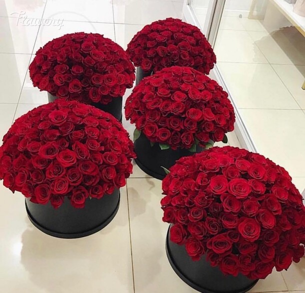 505 розы (в шляпной коробке), артикул F34759 - 143482 рублей, доставка по городу. Flawery - доставка цветов