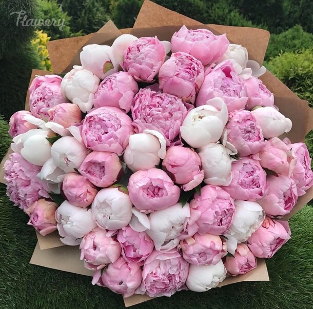 Микс из пионов., артикул F34815 - 31555 рублей, доставка по городу. Flawery - доставка цветов