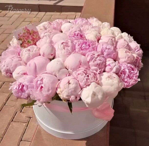 Розовое утро, артикул F38702 - 51911 рублей, доставка по городу. Flawery - доставка цветов