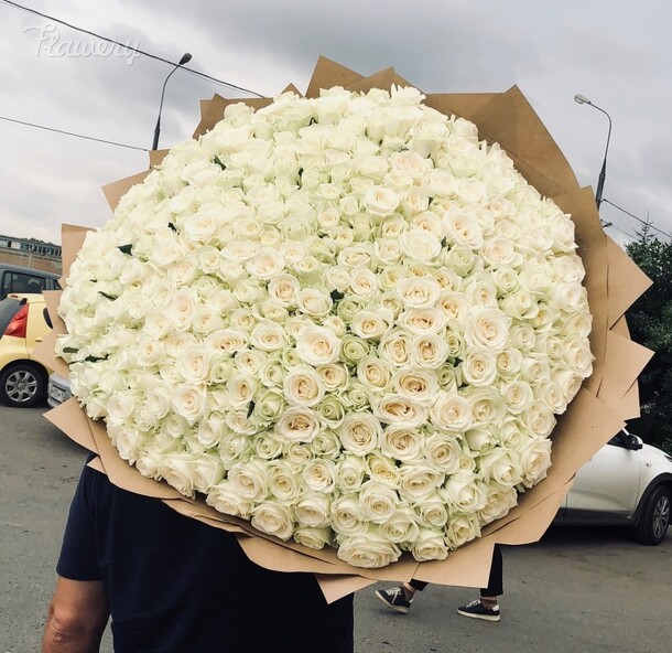 201 розы, артикул F43633 - 58563 рублей, доставка по городу. Flawery - доставка цветов